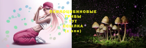 марки lsd Богданович