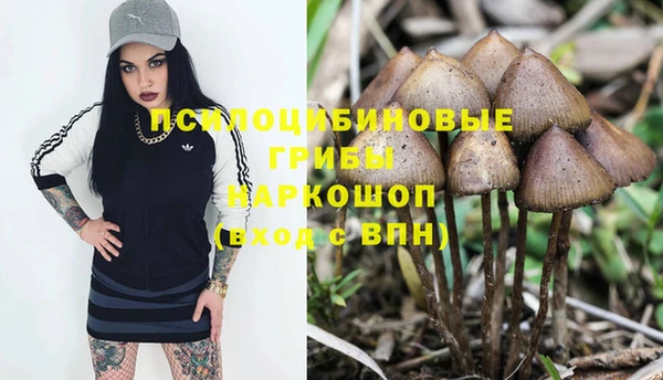 кокаин Богородицк
