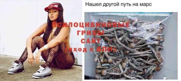 прущий лед Богородск