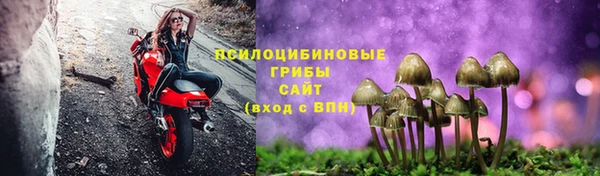 марки lsd Богданович